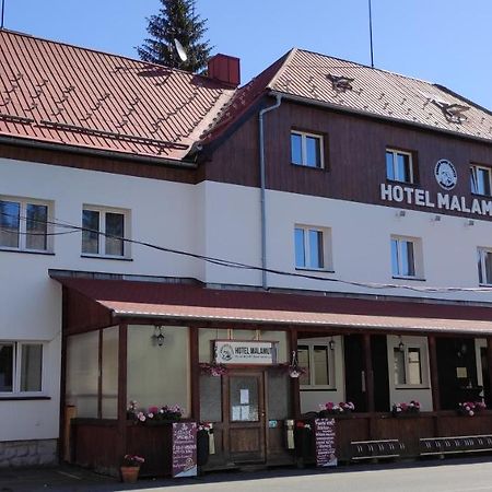Hotel Malamut Nové Hamry Extérieur photo
